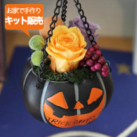 【お家で手作り！キット販売】ジャコランタンアレンジメント